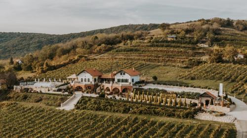 Siklos Villa | Villa Serena