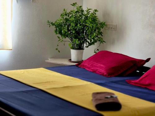 Varkala House | Villa Vibes of Varkala Homestay