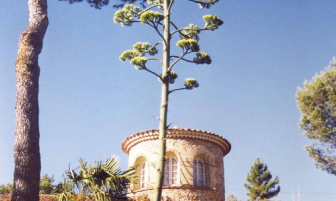 Lorgues Villa | villa (with tower of stones and swimmingpool) - privatly owned ground of 6 ha - beautiful view - 5 rooms - 8 persons
