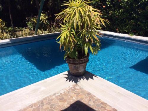 Tango Mar Villa | Villas Casa Carlos
