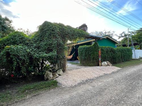Cabuya House | Villas Casa Paz
