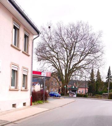 Bad Sobernheim House | Vinaring Homestay