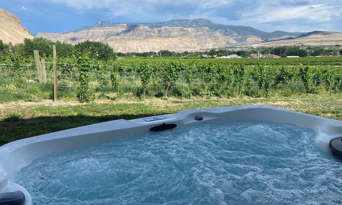 Palisade House | Vineyard Home close to town and Fruit and Wine Byway