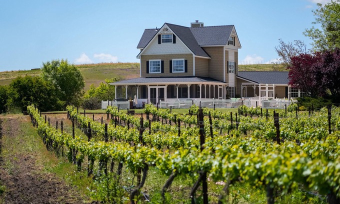 Templeton House | Vineyard Retreat in a Stunning Vineyard Setting and Views, Hot Tub, and More