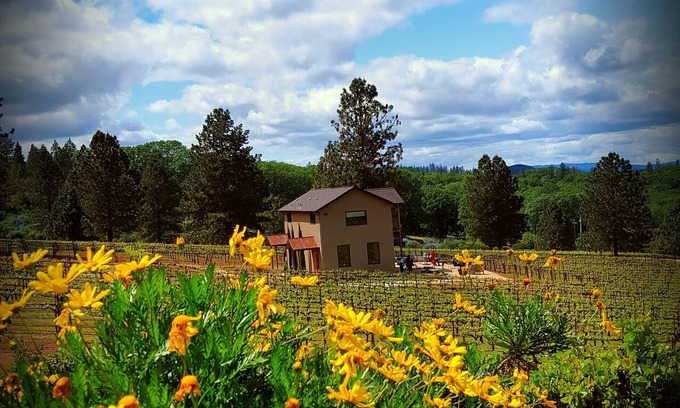 Kelseyville House | Vineyard View Sunset Suite