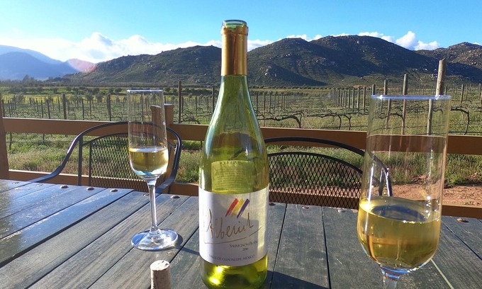 Valle de Guadalupe Bed & Breakfast | Vinya Abril