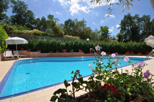 Viole Hotel | Viole Country Hotel