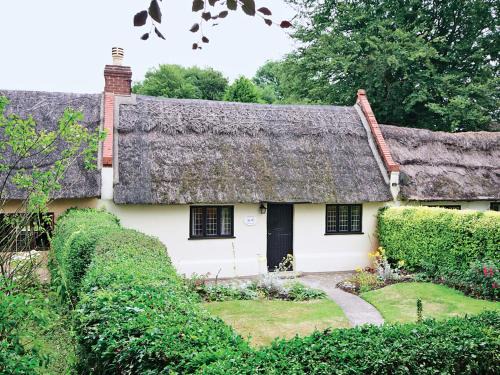 Catfield House | Violet Cottage