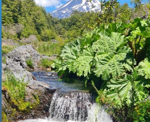 Curacautin House | Vista al volcán con tinaja y río en Conguillío