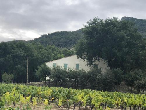 Laroque-des-Alberes House | Vivez une expérience inoubliable en Catalogne