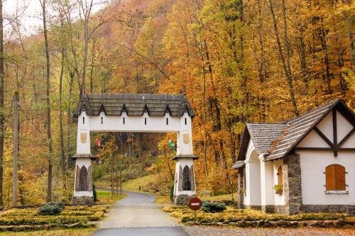Turya Paseka Resort | Voevodyno Resort