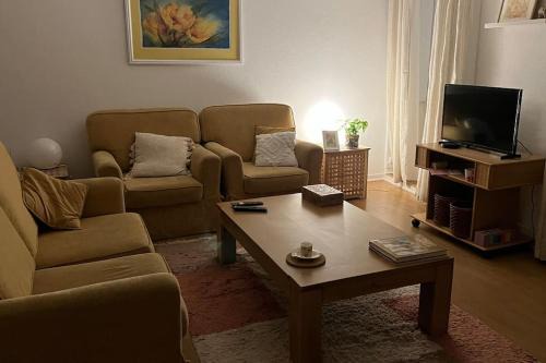 Sao Pedro do Sul Apartment | Vouga Lodge