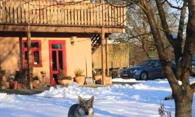 Muritz Other | Vrbo Property
