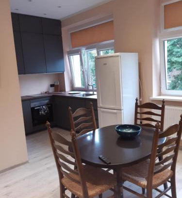 Panevezys county Apartment | Vytauto Apartamentai