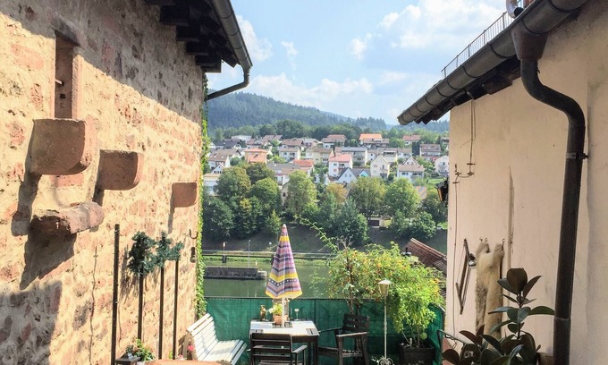 Hirschhorn House | W4.Neckar view, nature, old town