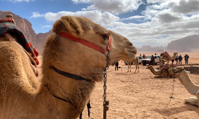 Wadi Rum RV Rental | Wadi rum echo camp