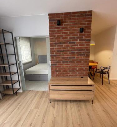 Grunwald Apartment | WalbrzyskaStreet