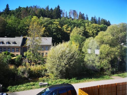 Schleiden Apartment | Waldoase im Nationalpark Eifel für 4 Personen und max 2 Hunde