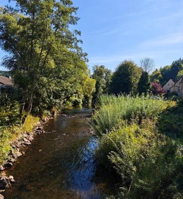 Schleiden Apartment | Waldoase im Nationalpark Eifel für 7 Gäste und max 2 Hunde in 1A Lage