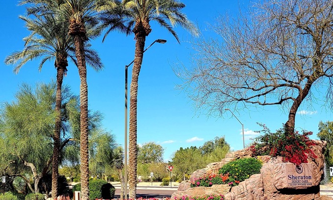 North Scottsdale Resort | Walk to TPC Phoenix Open Golf Tournament Sheraton Desert Oasis 17700 N Hayden Rd