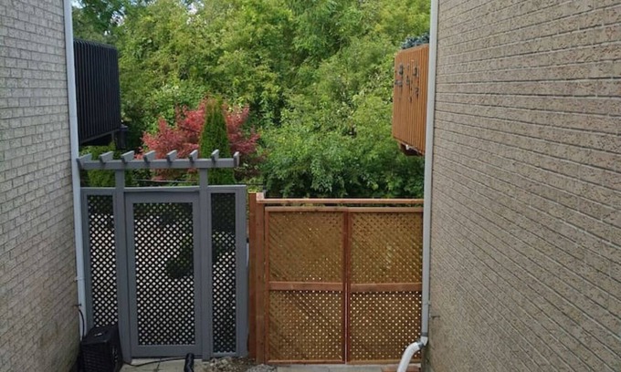 Richmond Hill House | Walkout Ravine, Cottage feeling basement