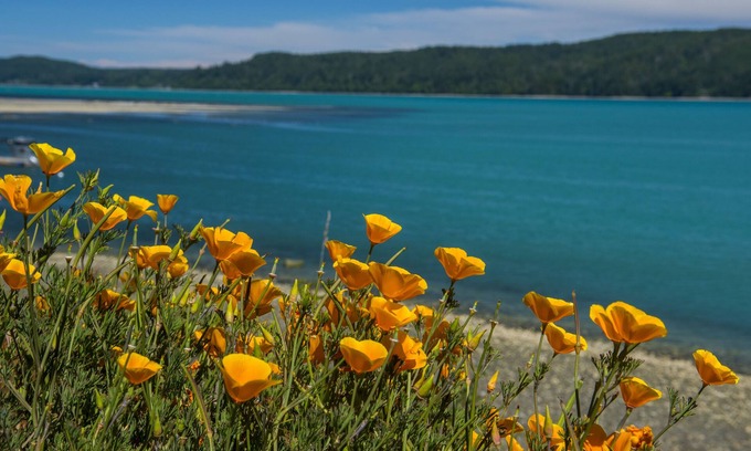 Hoodsport House | Waterfront Hood Canal Farmhouse - Oysters, Kayak, & Paddleboards!