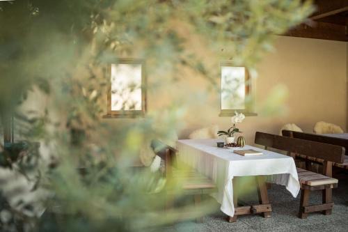 Unterrain/Riva di Sotto House | Weingut Donà