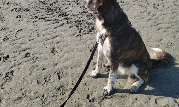 Regional District of Nanaimo RV Rental | Welcome to our Happy Camper steps from the beach!