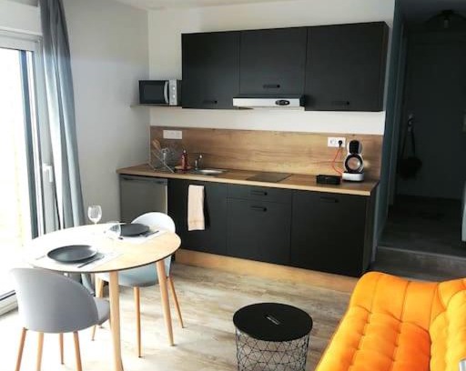 Agen Apartment | WelcomeAgen Electrik Lady appartement 2 Wifi Fibre Terrasse