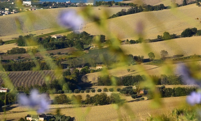 Lapedona House | Wellness and relaxation in the Marche region at Tenuta Coste da Sole