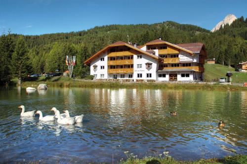 Canazei Hotel | Wellness Hotel Lupo Bianco
