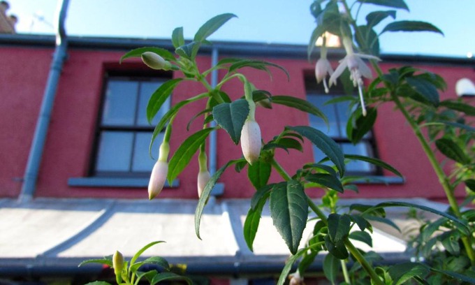 Llangennith Bed & Breakfast | Western House