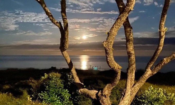 Whiritoa House | Whiritoa At Its Best