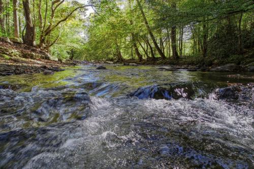 Cosby House | Whispering Creek Cabin