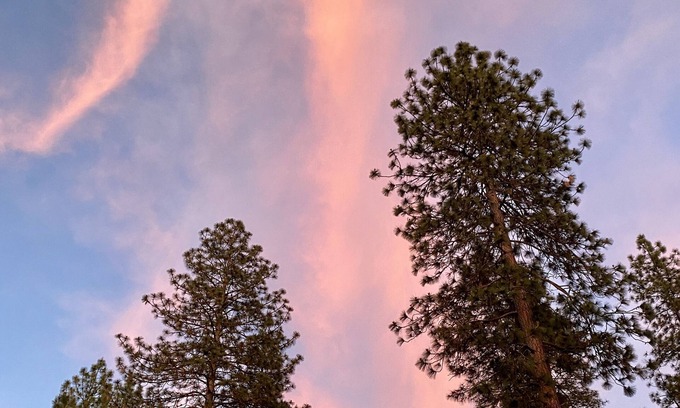 Midpines House | Whispering Pines! 25 miles to Yosemite + 9 miles to Mariposa!