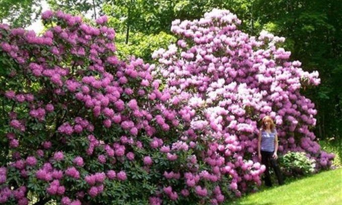Lenox Bed & Breakfast | Whistler's Inn Bed & Breakfast