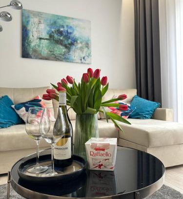 Czestochowa Apartment | White Apartament Częstochowa Centrum 2-bedroom