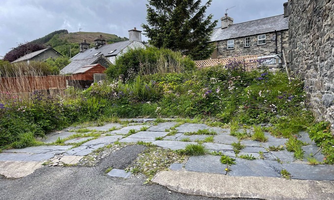 Penmachno Cottage | White Roses Retreat