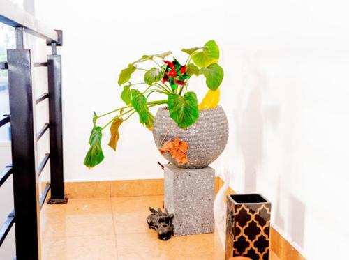 Ekala Bed & Breakfast | White sand beach Villa