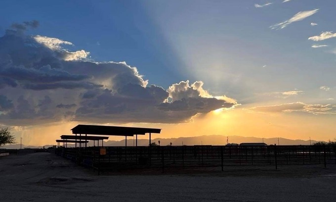 Wickenburg House | Wickenburg Arizona Equine Facility