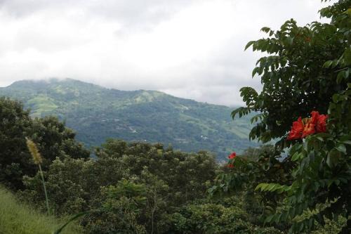 Guachipelin Apartment | WIFI AC parking Serene, Relaxation in Escazu