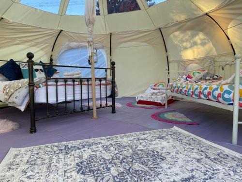 Haverfordwest Other | Wild Garlic Stargazer Tent