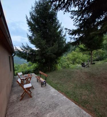 Pluzine Apartment | Wild Tara