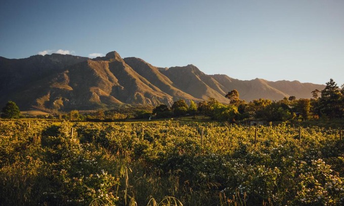 Swellendam House | Wildebraam Berry Estate