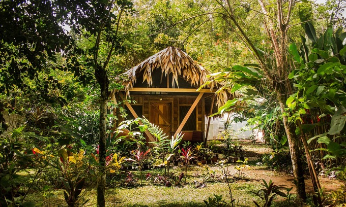 Cahuita Cabin | Wildlife Lodge Cahuita