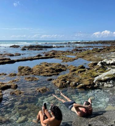 Cabo Matapalo House | Wildlife Oasis Surf, Rainforest, Animals