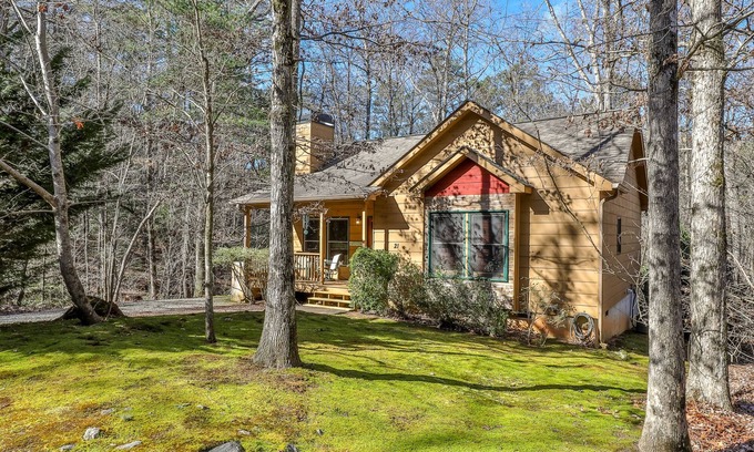Ellijay Cabin | Wildwood - Dog Friendly, Hot Tub