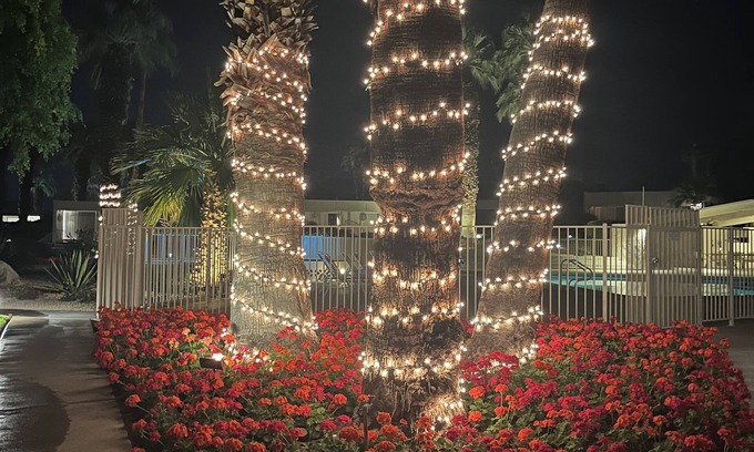 Palm Desert Condo | William Krisel's MCM MasterpiecenRented calendar months only Jan, Feb & Marchnn