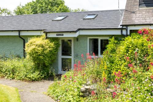 Tan-y-groes House | Willow at Gorslwyd - Sound Retreat