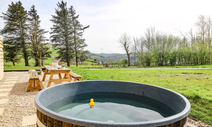 Llangurig Cottage | Willow